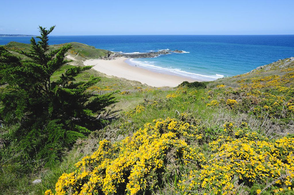 cap frehel camping bretagne